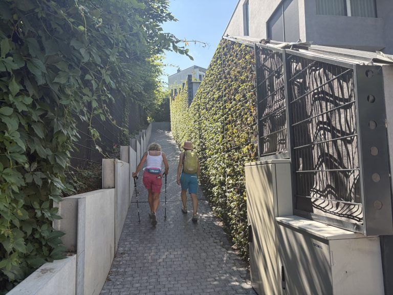 Wanderweg endet an einer Wand: Streit in Lochau geht vor Gericht