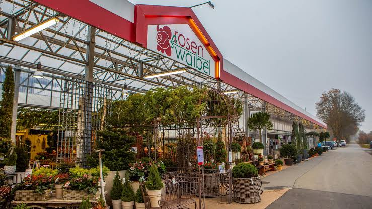 "Wir wollen diese schwere Zeit überstehen": So geht es bei Rosen Waibel nach der Insolvenz weiter