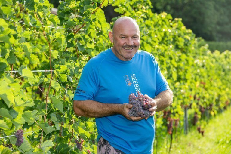 Die Weinlese ist eröffnet: "Wir steuern auf eine Sensationsernte zu“