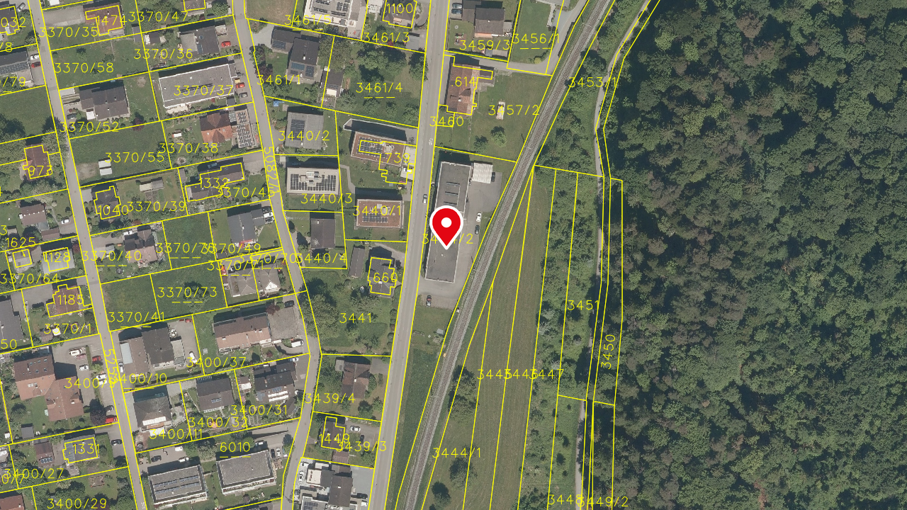 Land Vorarlberg: data.vorarlberg.gv.at, BEV (DKM)