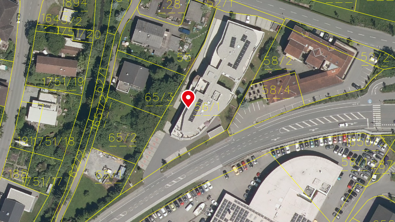Land Vorarlberg: data.vorarlberg.gv.at, BEV (DKM)