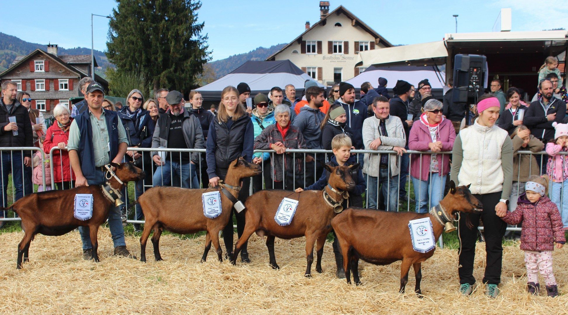 Sonderpreise gab es für die leistungsfähigsten Prachtziegen mit einer Lebensleistung von mehr als 10.000 Kilo Milch: Rosi aus dem Stall von Julia Berlinger in Au (15.320 kg), Emelie und Eva von Klaudia und Mathias Greber aus Schwarzenberg (12.625 bzw, 10.117 kg) sowie Monique von Martin Feurstein aus Lingenau (12.393 kg).