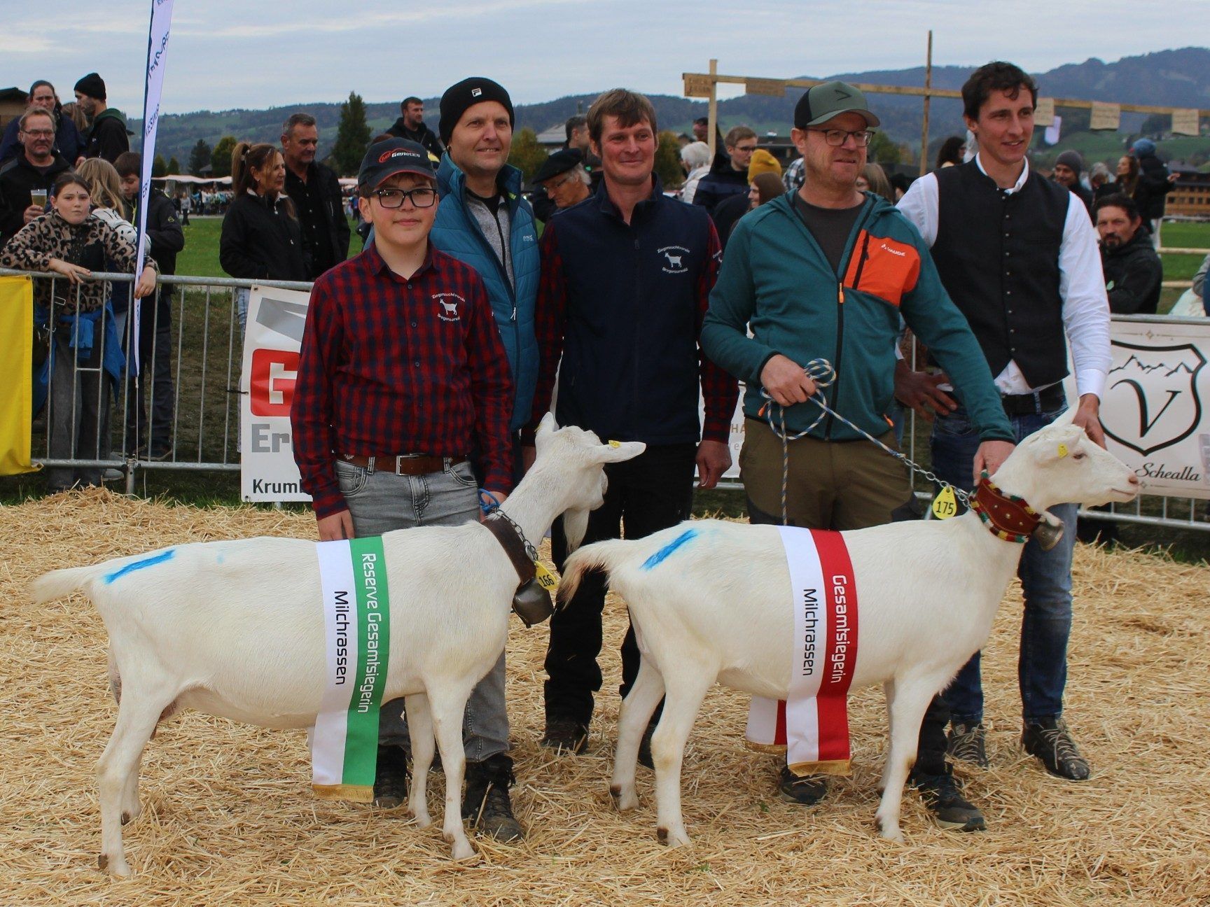 Das vierte Siegerduo waren in der Kategorie Milchrassen Tobias Bickel aus Tschagguns (rechts, 1.) und Markus Baurenhas aus Egg.