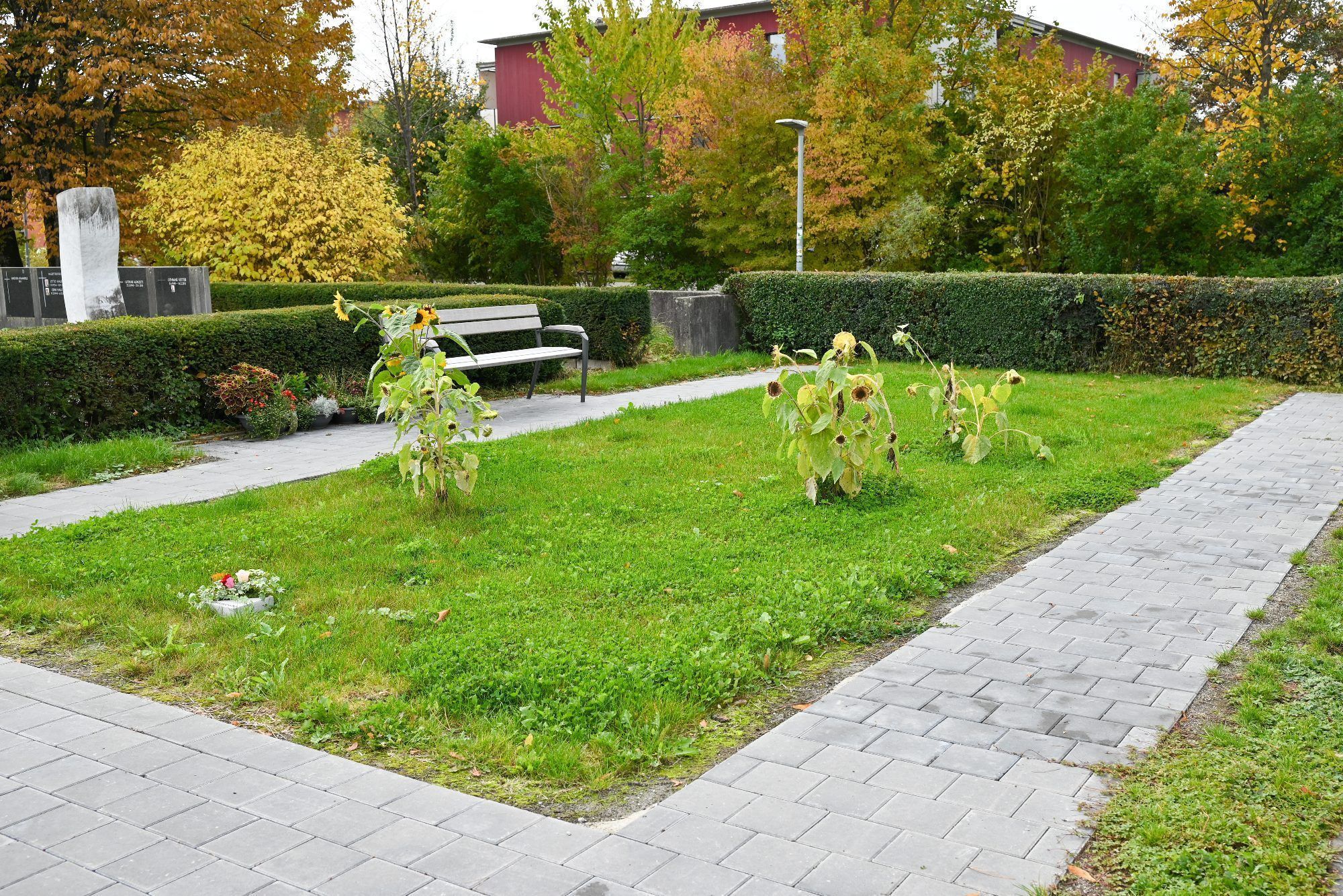 Beim Gemeindefriedhof Hasenfeld finden sie ihre letzte Ruhe.