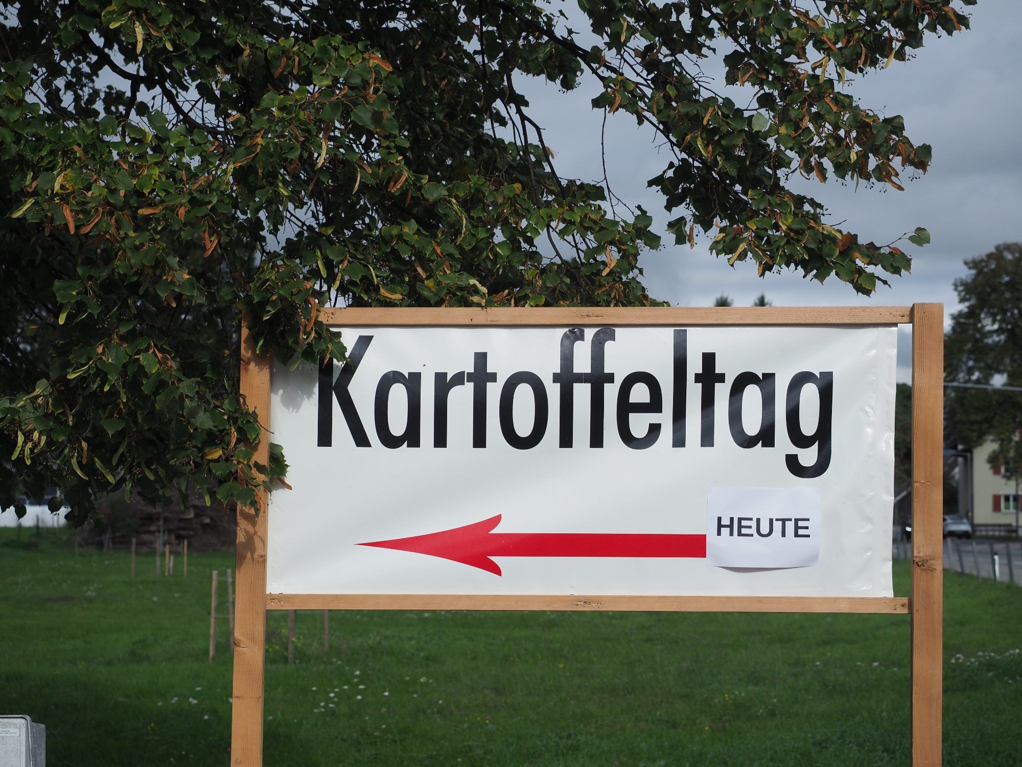 Bilder von der Spendenaktion des alljährlich stattfindenden Kartoffeltages.