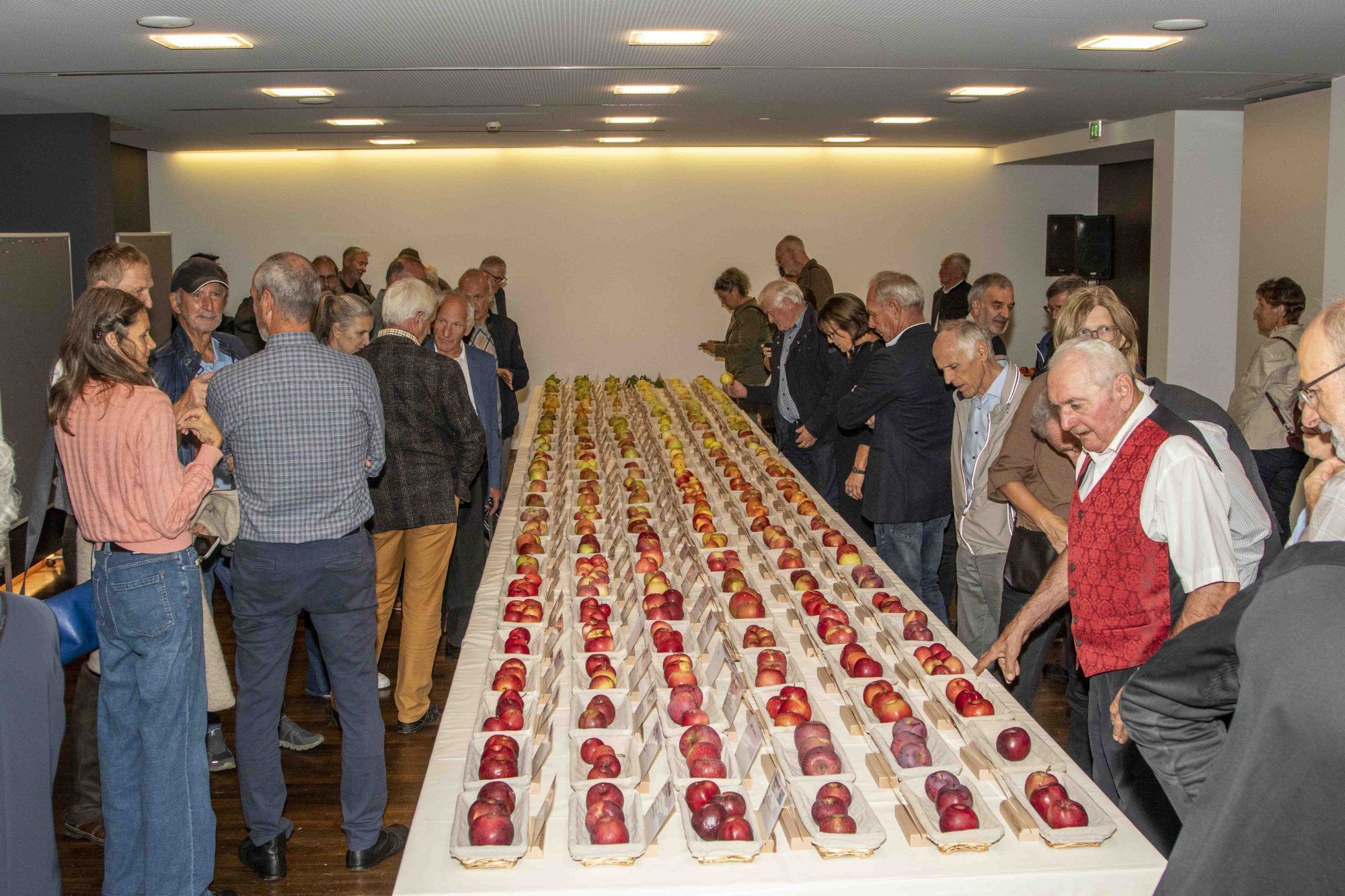 Große Ausstellung vieler Obstsorten.