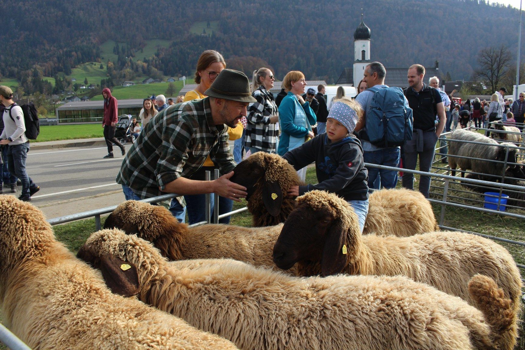 Seit einigen Jahren nützen auch die Schafzüchter dien Goaßamat, um ihre Arbeit zur Schau zu stellen.
