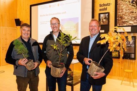 v.li - Landesforstdirektor DI Andreas Amann, LR Christian Gantner und DI Gerld Jäger von der WLV bei der Eröffung der Schutzwaldwoche im Aktionsraum Vandans