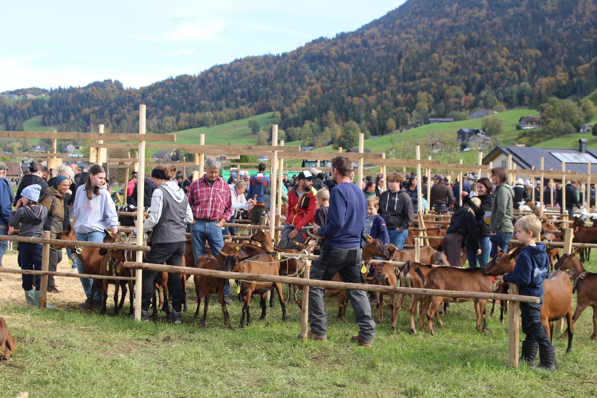 Viele Besucher nutzten die Gelegenheit, sich über die Ziegenzucht in Vorarlberg zu informieren.