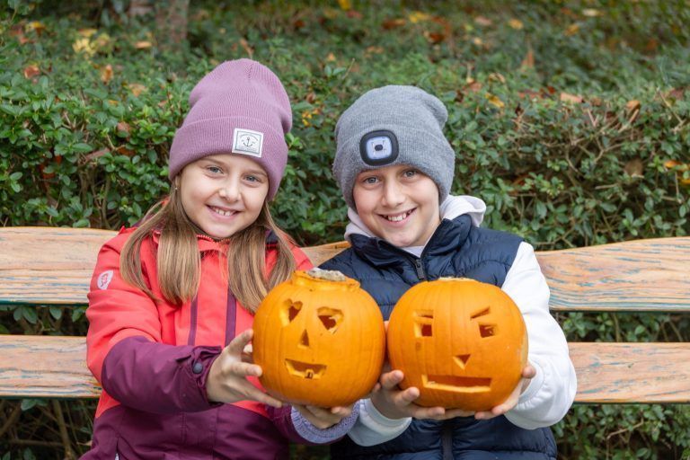 Mehr als nur ein amerikanischer Brauch: Kürbisschnitzen zwischen Moa und Halloween