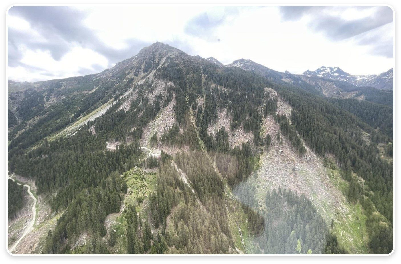 Ohne Schutzwald steigt die Gefahr für den besiedelten Bereich.