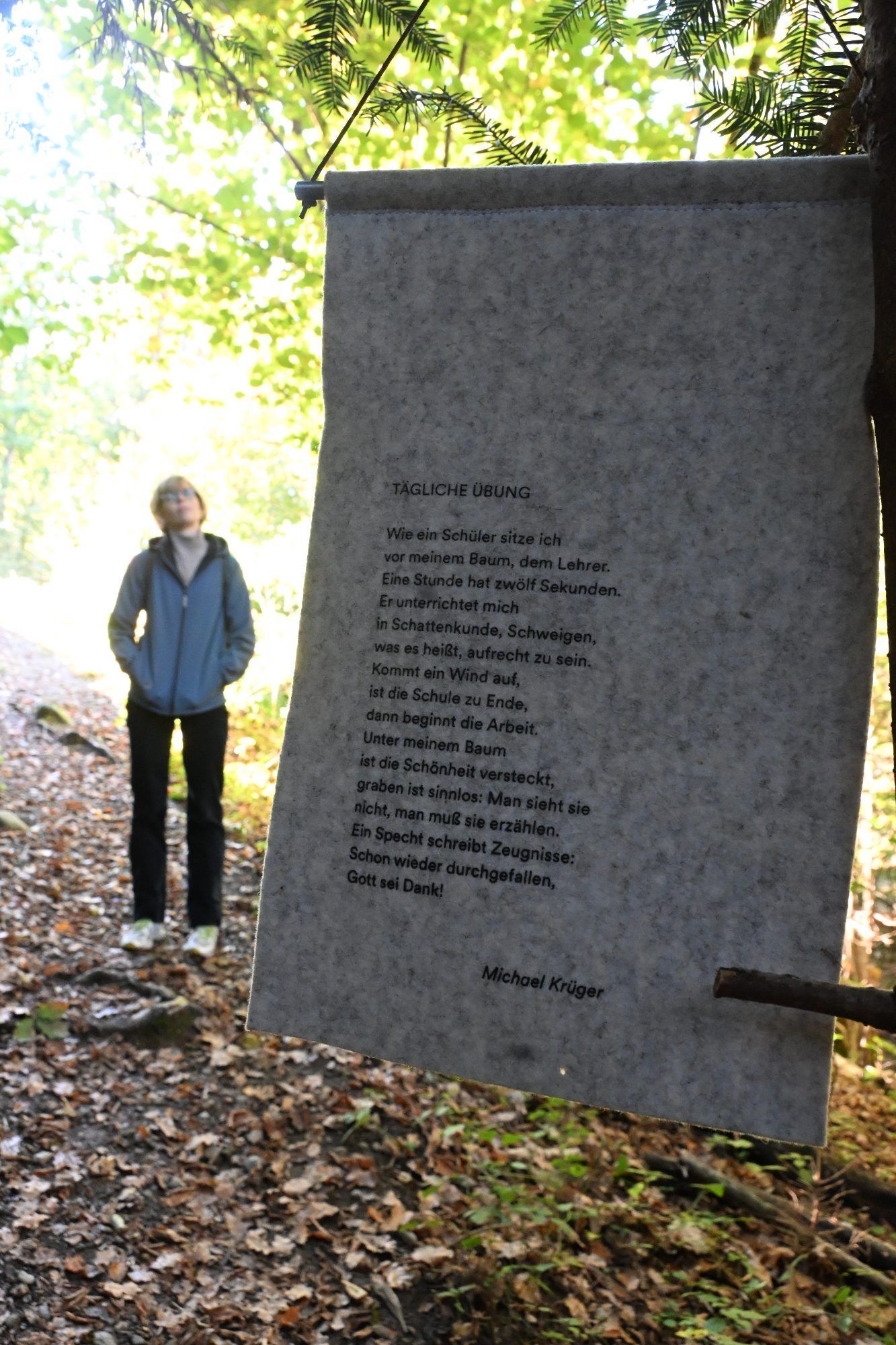 Filztafeln am idyllischen Lyrikweg.
