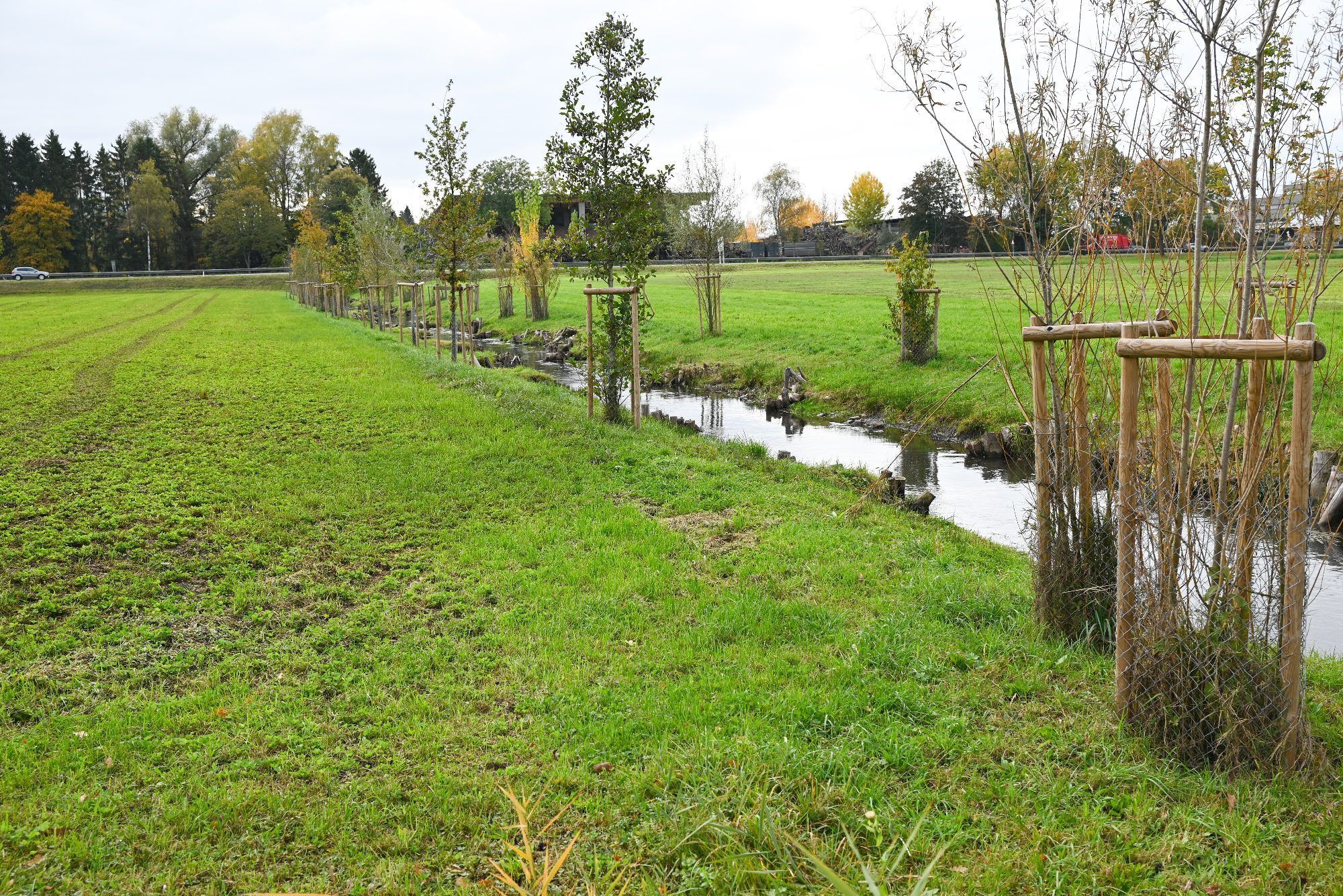 Auch bedrohte Fischarten haben sich hier niedergelassen und fühlen sich bei diesem Gewässer sichtlich wohl.