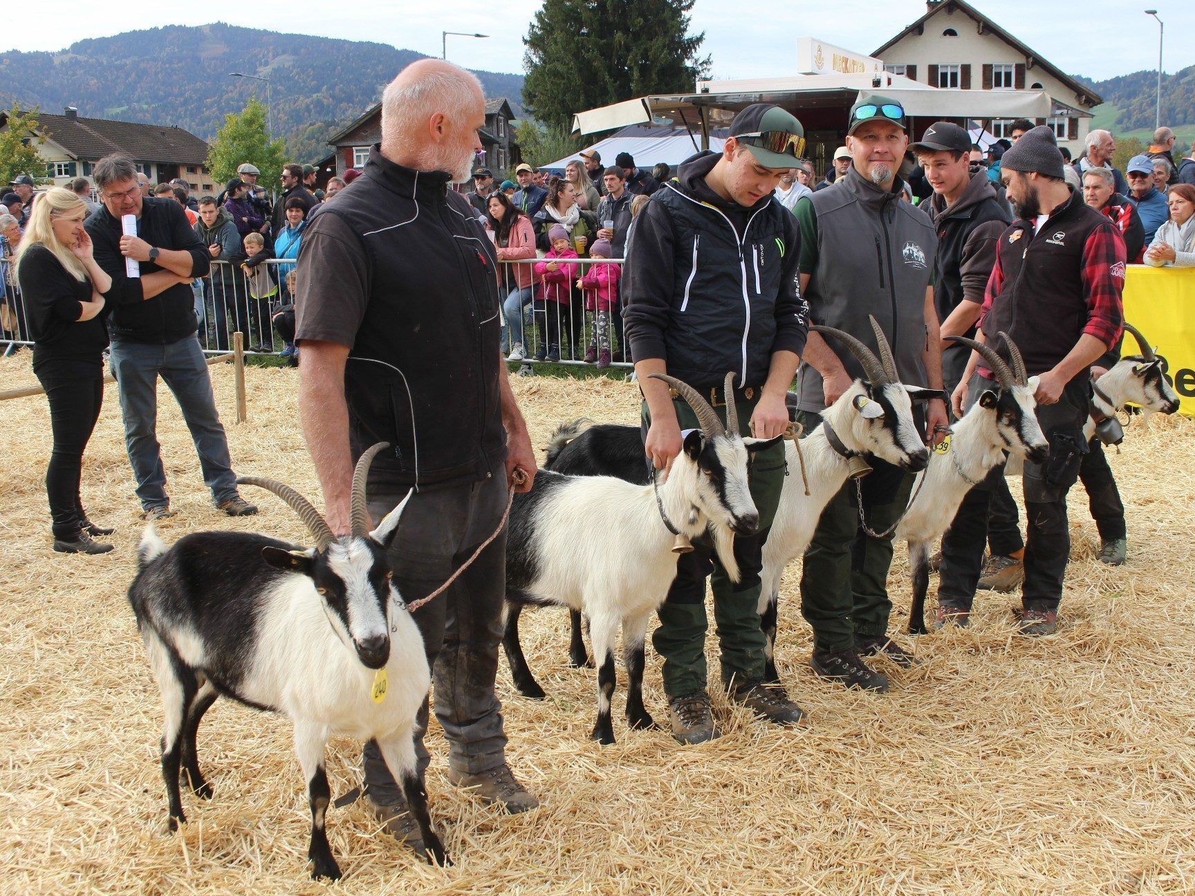 Eine echte Rarität: Pinzgauer Strahlenziegen, eine Rasse, die extrem gefährdet ist. Österreichweit gibt es davon nur etwa 200 Tiere - einige davon in Vorarlberg.