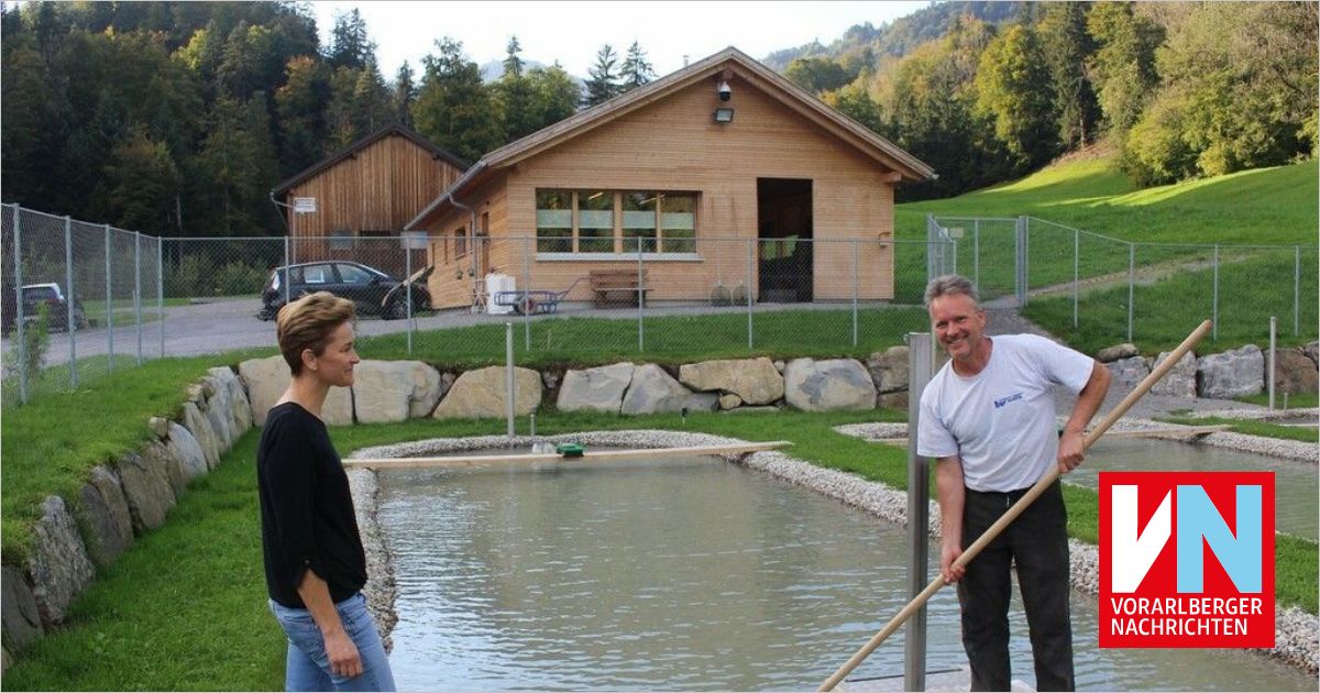 Sintflut im Raum Bödele ließ im Trüben fischen - Vorarlberger ...