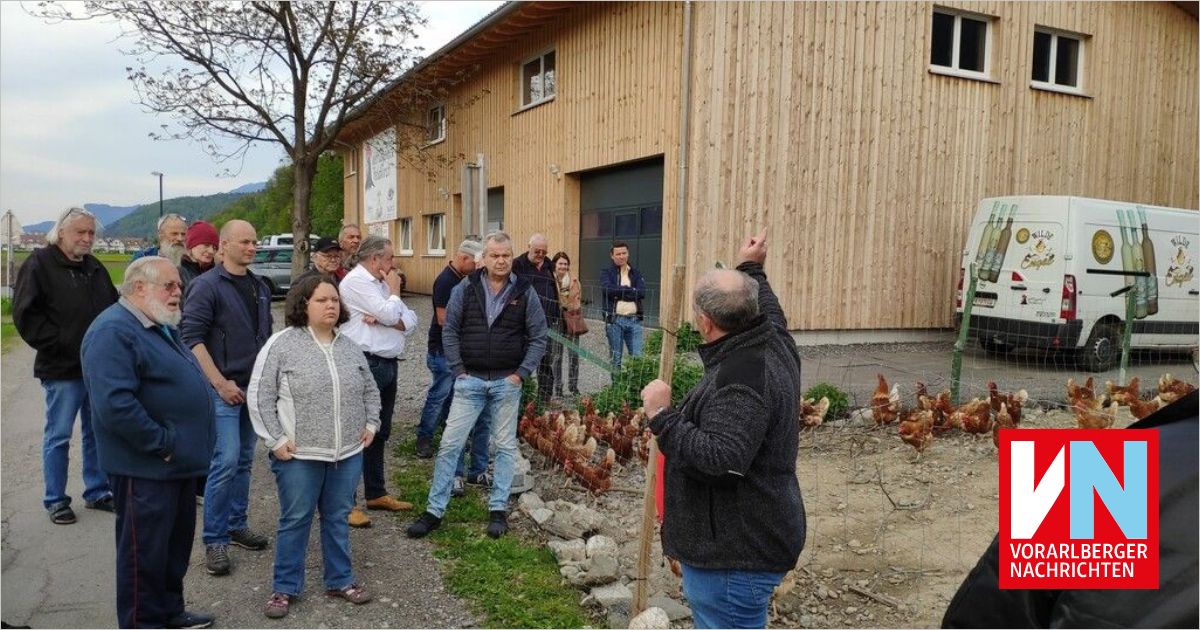 Eingesendet Vereinsnachrichten Aus Dem Bezirk Vorarlberger 