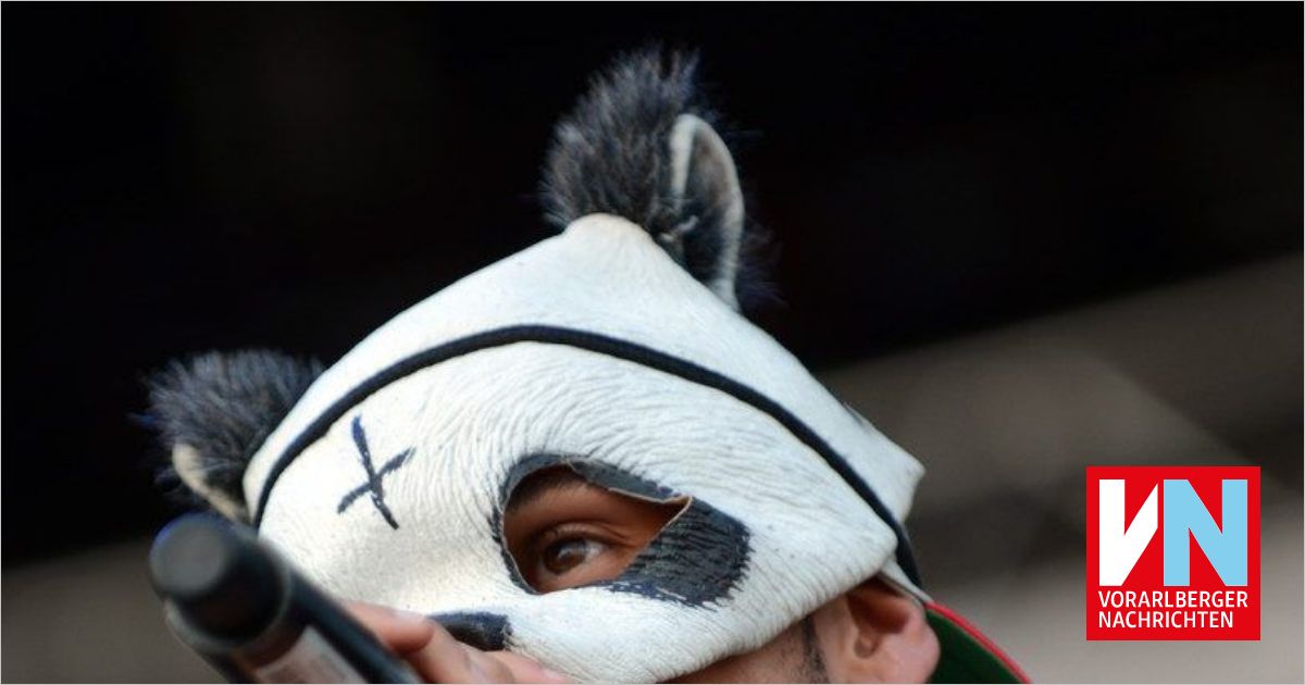 Panda-Masken-Rapper Cro erhält den Bambi - Vorarlberger Nachrichten | VN.at