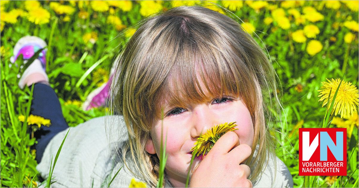"Bilderbuch Frühling": Erwecke die Magie des Frühlings in deinem Herzen!
