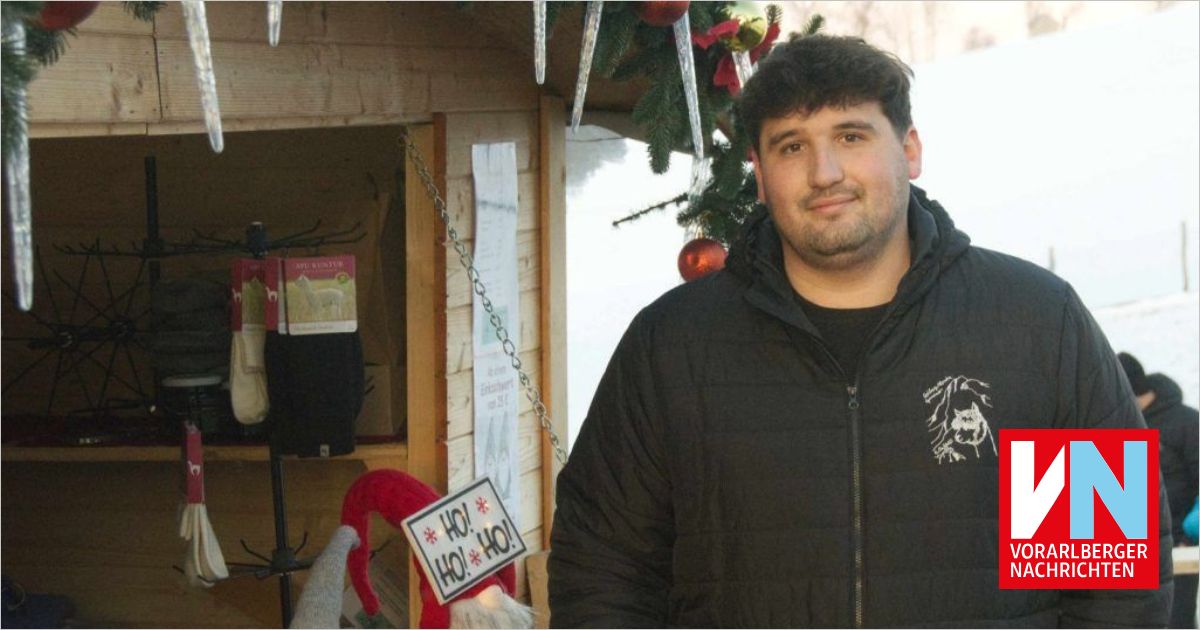 Mit Alpakas wandern gehen