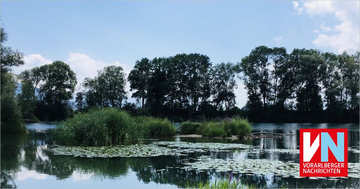 Vorarlberger Nachrichten Format