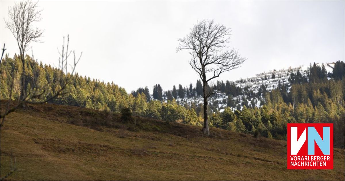 „Als ob es erst gestern geschah“ Vorarlberger Nachrichten VN.at