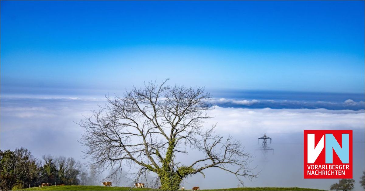 Der Nebel, ein vertrauter Gast im Rheintal